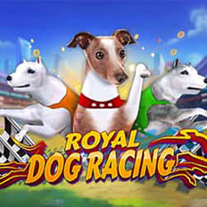 Royal Dog Racing