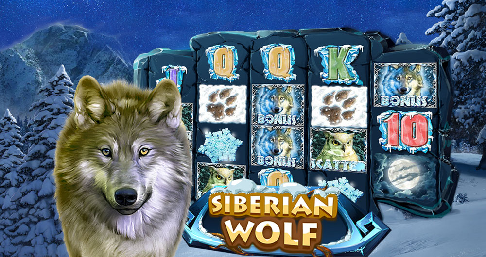 Siberian Wolf slot banner